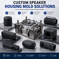 Cetakan Injeksi Kabinet Speaker Kustom, Casing Plastik, Peralatan untuk Produk Audio