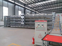 Cage à volailles de type H en fil galvanisé pour le ramassage automatique des œufs et des poules Poulailler Cage à batterie Mangeoire automatique