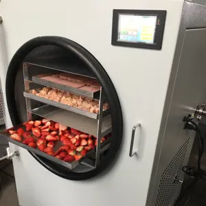 Topacelab Laboratory Lyophilizer Freeze Dryer Machine Freeze Dryer With Vacuum Pump Fruit Freeze Dryer Machine