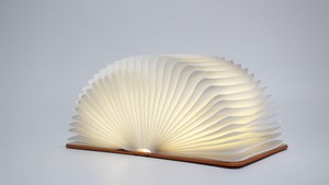 Gadgets 2025 : Lampe de livre Illume pour éclairer l'atmosphère, cadeau promotionnel marketing, éclairage d'ambiance magnétique pour la décoration de la maison et de la bibliothèque - Product Image 6