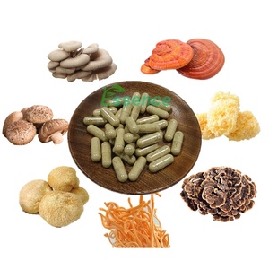 Polvo de Complejo de Hongos Naturales de Alta Calidad, Mezcla Funcional de Hongos en Polvo - Product Image 4