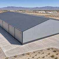 Structure en acier Mega Span pour entrepôt logistique de stockage en vrac, système de bâtiment industriel métallique préfabriqué