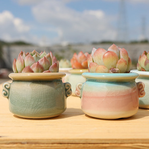 Vasi per Piante Grasse in Ceramica Eco-Friendly Leggeri e Durevoli con Effetto Craquelé, Due Manici, Piccoli Vasi Creativi per Piante - Product Image 3