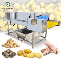Commerciële machine voor het schillen van groenten, wortelen, sinaasappels en fruit, en het wassen van aardappels voor de productielijn.
