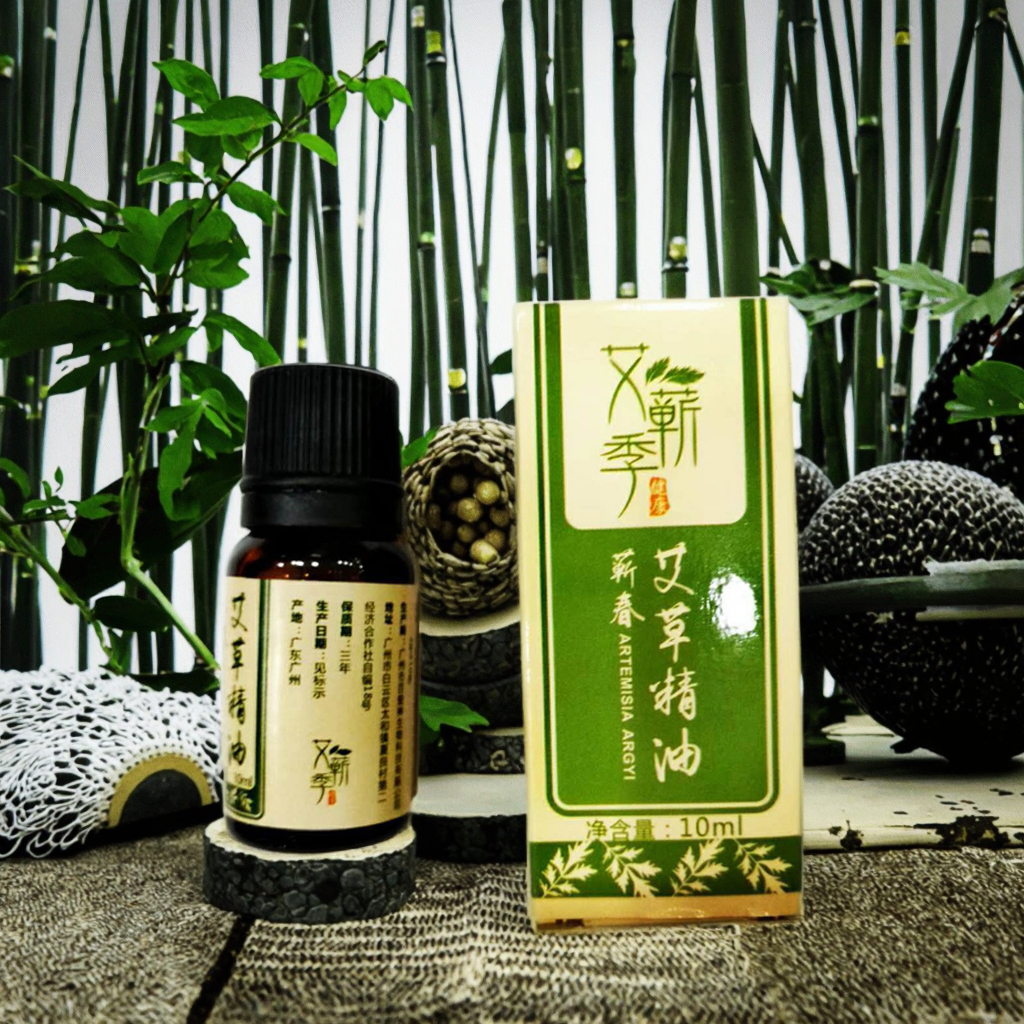 Mugwort Essential Oil Chinese Traditional Chinese Herbal Medicine