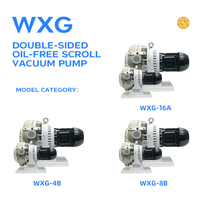 Bomba de Vacío de Desplazamiento Bilateral sin Aceite WXG-4B 4L/S, Libre de Mantenimiento, para Sistemas de Envasado de Alimentos