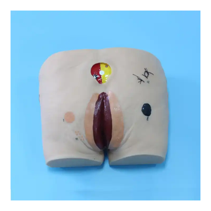 Modèle de soins infirmiers Ulcère de pression pour personnes âgées Modèle d'<span class=keywords><strong>escarre</strong></span> de science médicale pour les patients - Product Image 5