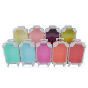 Wholesale Top Selling Luxury Mini Suitcase Set For Beauty Luggage Eyelash Packaging Box Plastic Customize Mini Suitcase Gift Box