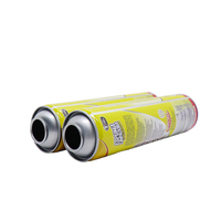 Bouteille aérosol vide en fer blanc de haute qualité, personnalisable, 45/52/57/60/65/70 mm, avec bouchon à vis, pour pulvérisation chimique