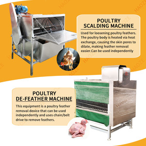 Machine de traitement du poulet en acier inoxydable 304 |   80 oiseaux/heure |   Grandes abattoirs |   Certifié CE - Product Image 5
