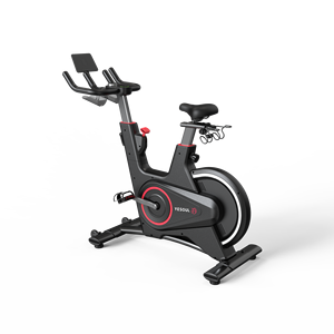 Bicicleta deportiva magnética para interiores, equipo de gimnasio para ejercicio, bicicletas giratorias para uso doméstico, hechas de acero - Product Image 3