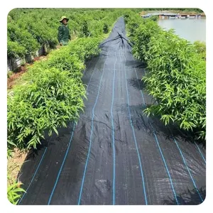 PE Woven Cloth Geotextile Fabric to Stop Grass Growing Weed Barrier and Weed Control Sheet Garden Ground Cover Anti-UV Weed Mat