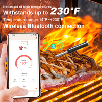 Thermomètre à viande WiFi sans fil avec surveillance à distance et alarme pour grillades, barbecue et four