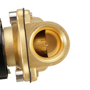 Electroválvula de Agua de Latón 2W250 25 NC, 12V 24V CC, 1/2 Pulgada 3/4 Pulgada - Product Image 5