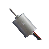 Motor DC Brushless Listrik Diameter 36mm, 12/24v, 8000rpm, Daya Tahan Lama 20000H, Panjang 40mm, DBL3640, Kustomisasi Pabrik