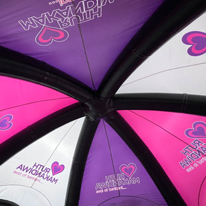 Tuoye-toldo con logotipo personalizado para eventos al aire libre, carpa inflable con domo gigante para publicidad, 10x10m - Product Image 3