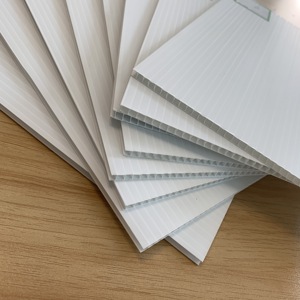 Feuille de plastique PP Plaque creuse en PP Feuilles de coroplast de 2mm - Product Image 6