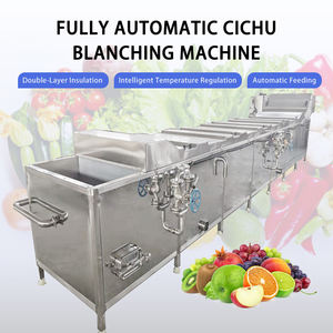 Grüne Bohnen Vollautomatisches Blanchiersystem Kommerzielle Gemüseverarbeitung Kontinuierliche Blanchier- und Kochmaschine 304 - Product Image 3