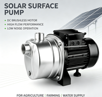 Pompe à jet solaire DC en acier inoxydable 304, auto-amorçante, pour eau de surface, avec turbine en laiton, pour l'irrigation domestique et l'alimentation en eau