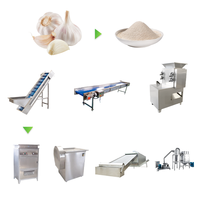 Knoflookpoeder verwerkingslijn Knoflookpoeder productiemachine Knoflookproductielijn Knoflookpoeder productielijn