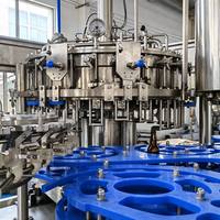 Machine de lavage, de remplissage et de bouchage entièrement automatique 3 en 1 pour bouteilles en verre (vin, alcool, liqueur, bière) pour la production de bière