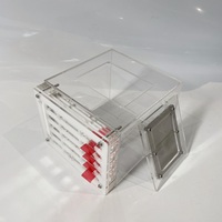 YAGELI Boîte d'élevage pyramidale en acrylique transparent personnalisée pour fourmis, nid vivant pratique, service professionnel, présentation uniquement