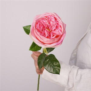 Fiori artificiali vero tocco grande petalo fiore idratare Austin Elsa <span class=keywords><strong>Rosa</strong></span> peonia di seta in lattice <span class=keywords><strong>Rosa</strong></span> per la decorazione della casa d'interni - Product Image 1