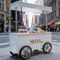 Carrito de Exhibición Metálico de Lujo, Kiosco Portátil para Joyería, Café, Helados, Eventos, con Toldo, Ruedas, Iluminación LED, OEM