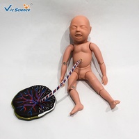 Modelo Anatómico de Recién Nacido a Termosinal Completo para Entrenamiento de Habilidades de Enfermería Médica, Ayuda Didáctica, CE/ISO/ROHS/CNAS