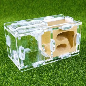 Bionic Acrylique Petit Nid de ferme de fourmis Produit pour animaux de compagnie pour les amateurs de fourmis - Product Image 4