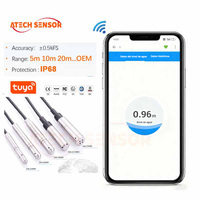 Leve Measuring Instruments for Liquid IP68 Water Pressure Level Transmitter RS485 Sensor De Nivel De Agua