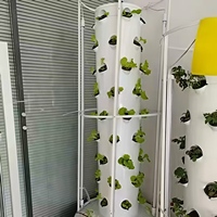 Tour aéroponique verticale Seeda à haute rigidité pour la culture domestique de micro-légumes et d'ananas
