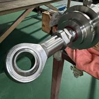 Cilindro Hidráulico de Doble Acción de Acero Inoxidable XSL 304/316, Cromado Duro, Personalizable en Diámetro de Cilindro/Recorrido, para Uso Alimentario/Marítimo