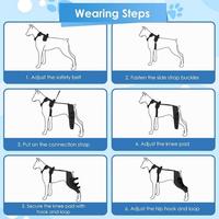 Attelle de genou ACL réglable pour chien avec stabilisateurs latéraux métalliques, support pour pattes arrière, protection et soin des articulations canines