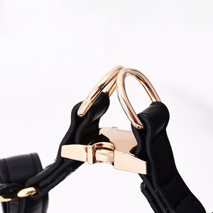 Set personalizzato di imbracatura per cani e guinzaglio regolabile riciclato stile occidentale di lusso impermeabile in pelle vegana Pet pettorina accessori - Product Image 6