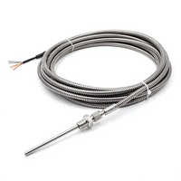 Sonde de température RTD PT100 à double puce personnalisée, classe B, avec filetage M12