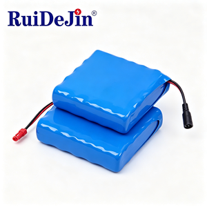 Batterie Li-ion Personnalisée RDJ 12V 24V 36V 48V 60V 72V 10Ah 20Ah 30Ah 40Ah pour Stockage d'Énergie de Système Solaire - Product Image 4