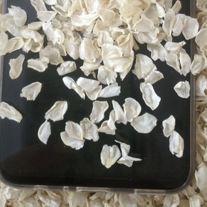 Pétalos de <span class=keywords><strong>Jazmín</strong></span> Secos de Alta Calidad, Confeti Premium para Bodas del Jardín de la Naturaleza - Product Image 5