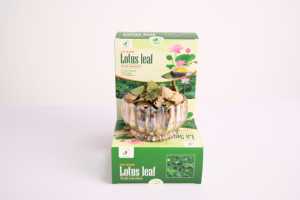ชาใบบัวบริสุทธิ์ 100% พรีเมียม บรรจุในถุงชา อายุการเก็บรักษา 2 ปี เครื่องดื่มสมุนไพรเพื่อสุขภาพ ตรา OEM NMPT - Product Image 5