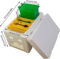 Nueva Caja de Plástico para la Cría de Abejas Reinas, Herramienta de Apicultura