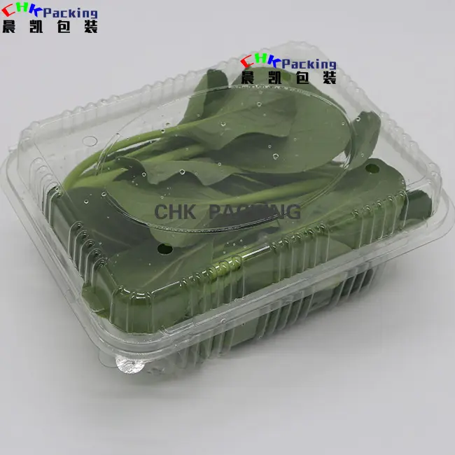 CHK packing thermoformed pp pet vegetable microgreen container clamshell
