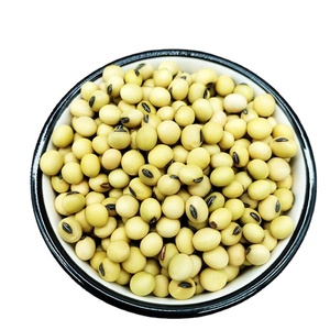 Graine de soja jaune germée de haute qualité, NON gm, soja séché en vrac, soja biologique - Product Image 1