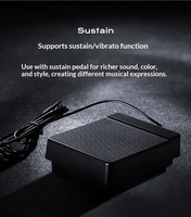Professional Electric Digital Piano Sustain Pedal ABS Material Musical Instrument Accessory for Keyboard Players