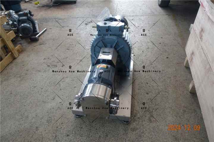 High Viscosity Product Transfer Rotor Pump Food Grade SS304/316 Electric Lotion Honey Lobe Pump Customizable Tomato