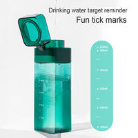 Bouteille d'eau sport carrée minimaliste portable en Tritan avec infuseur à thé et paille – Tasse à café et eau pour l'extérieur