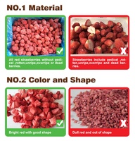Fraises lyophilisées en tranches en vrac, épaisseur 5-7 mm, chips de fraises FD pour céréales et pâtisseries, provenant d'une usine certifiée BRC