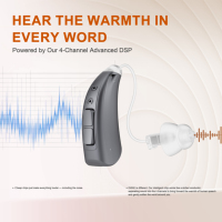 Aides auditives numériques sans fil Bluetooth rechargeables JINGHAO JH-DW3 4 canaux Ric BTE avec contrôle par application
