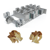 Séchoir automatique pour friandises pour chiens 500-2000 kg/lot, machine industrielle de déshydratation pour viande séchée, ligne de séchage d'aliments pour animaux de compagnie