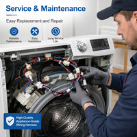 Harnais de câblage professionnel personnalisé pour machine à laver, conducteur en cuivre, étanche IP67, assemblage de câbles certifié CE ROHS REACH