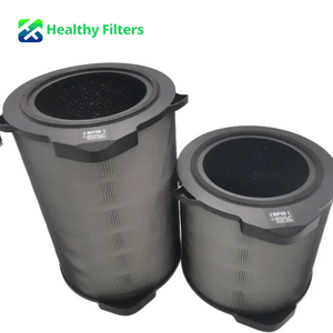 Filtre de remplacement pour <span class=keywords><strong>purificateur</strong></span> <span class=keywords><strong>d</strong></span>'<span class=keywords><strong>air</strong></span> <span class=keywords><strong>Electrolux</strong></span> H13 HEPA PA91-404GY/PA91-604GY, efficacité de 99,99 %, charbon actif, usage domestique, vente en gros - Product Image 1